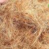 50g Coconut Palm Silk Coconut Shell Silk Greening Covering Potted Coconut Silk Paving Decorative Bird's Nest Bedding Breathable Grass Silk