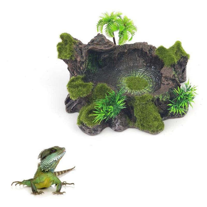 reptile decor cheap