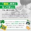 Electronic Circuit Clean Energy [Authorized Domestic Distributor] Electrical Circuit Experiment, Electronics, Japanese Guide Included, Wind Power, Hyd