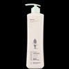 Adolphe Professional Care Essential Oil Silicone-Free Shampoo