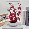 Praecox Flower Chimonanthus Basin Decorative Potted Plant For Home Office Gift