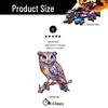 HOOLOOG Original Diamond Owl Wooden Puzzle Toy & Art Decompression Money Box