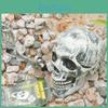 Gruseliger Halloween-Horror Lebendig Begraben Skelett Schädel Arme Für Garten Rasen Deko