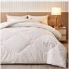 Thickened Warm Duvet Insert