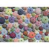 Puzzle - Piatnik - Sea Urchins - 1000 Pieces - Multicolor - Still Life
