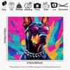 2D Pop Art Dobermann Hintergrund Bunter Spritzer Hintergrund Studio Fotografie Hintergrund