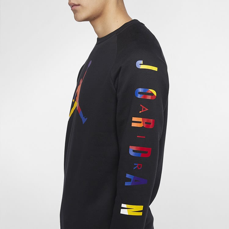 Jordan Sweatshirts Men's Crew Neck Moderate Regular CQ7593-010