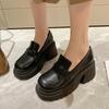Gothic Chunky High Heels Pumps for Women 2025 Spring Patent Leather Platform Loafers Woman Black Thick Heeled Jk Lolita Shoes