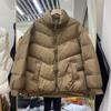 Two-button Long-sleeved New Simple and Versatile Fashion Outer Wear White Duck Down Stand-up Collar Down Jacket Women's Short Coat