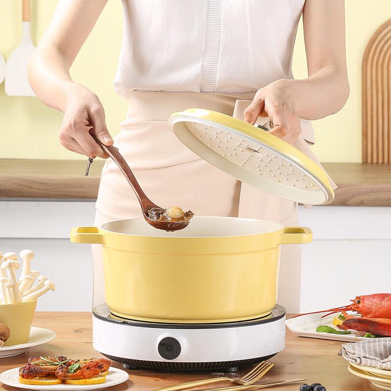 Enamel Non-stick Stew Pot