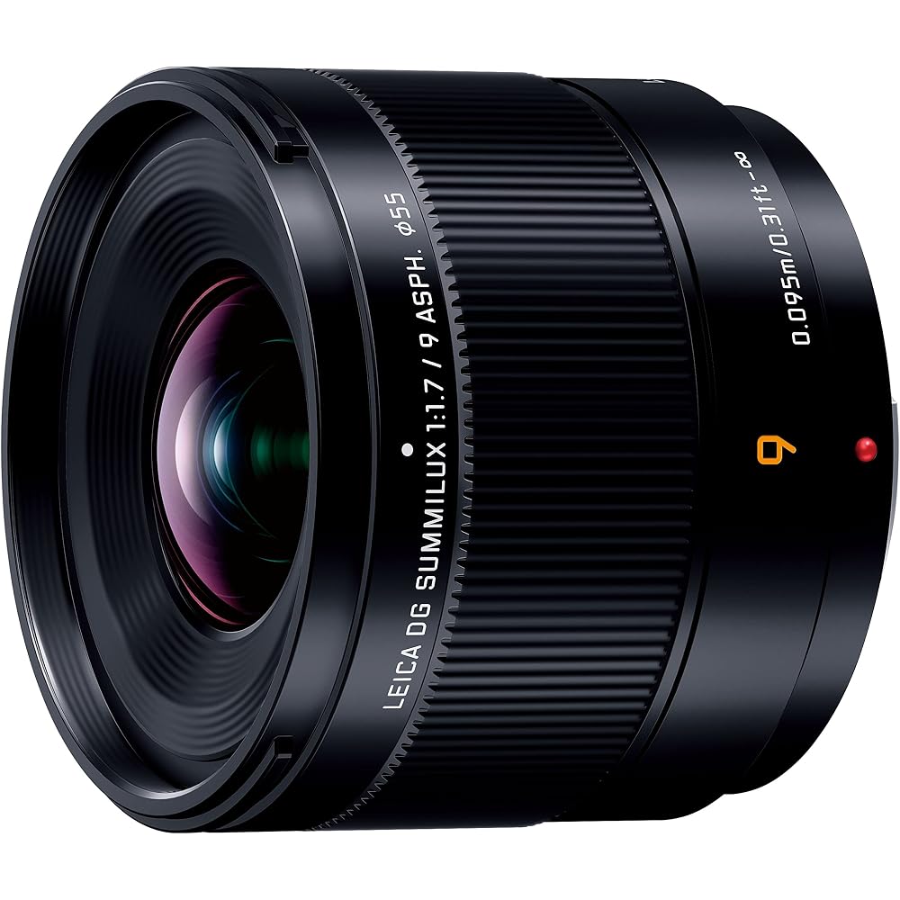 Panasonic H-X09 Wide-Angle Fixed Focal Length Camera Lens for LUMIX Digital SLR Cameras (Interchangeable Lens)