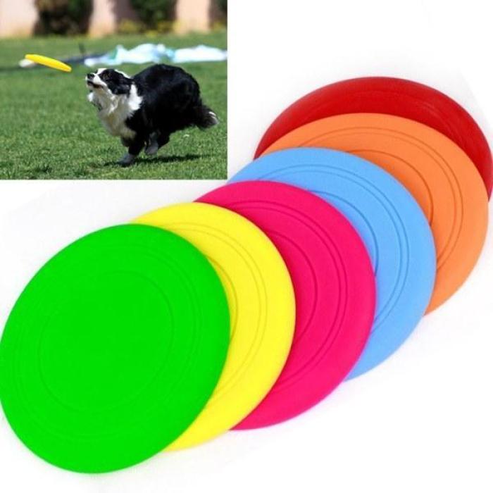 plastic dog frisbee
