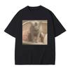 Funny Memes Kitten Pooping Kitten Joke T-shirt Graphic T-shirt Women's Casual Tops T-shirt Fashion Graphic T Shirts Summer Y2...
