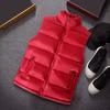 Men Waistcoat Stand Collar Sleeveless Vest Coat with Pockets Zipper Closure Warm Comfortable