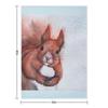 Squirrel I Throw Blanket Quilt Plush Bed Plaid for Winter Blankets