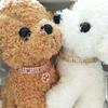 Pet Supplies, Colorful Crystal Necklace, Smiling Zircon, Three Row Diamond, Cat and Dog Accessories, High-end, Dog Gift