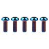 Ruifu Titanium Bolts M6x10 15 20 25 30 35mm T30