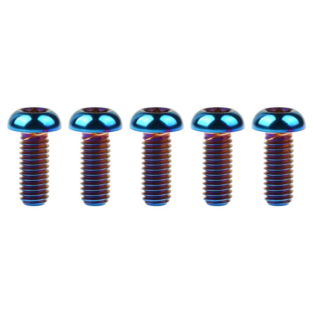 Ruifu Titanium Bolts M6x10 15 20 25 30 35mm T30