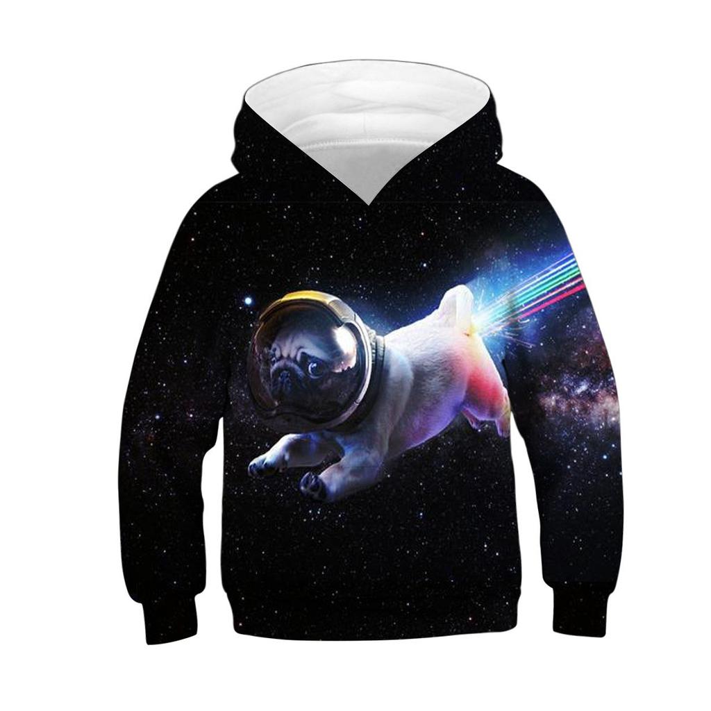Autumn 3D Cute Animal Printed Hoodies Fashionable Casual Sports Long Sleeved Children's Boy Hooded Sweatshirts