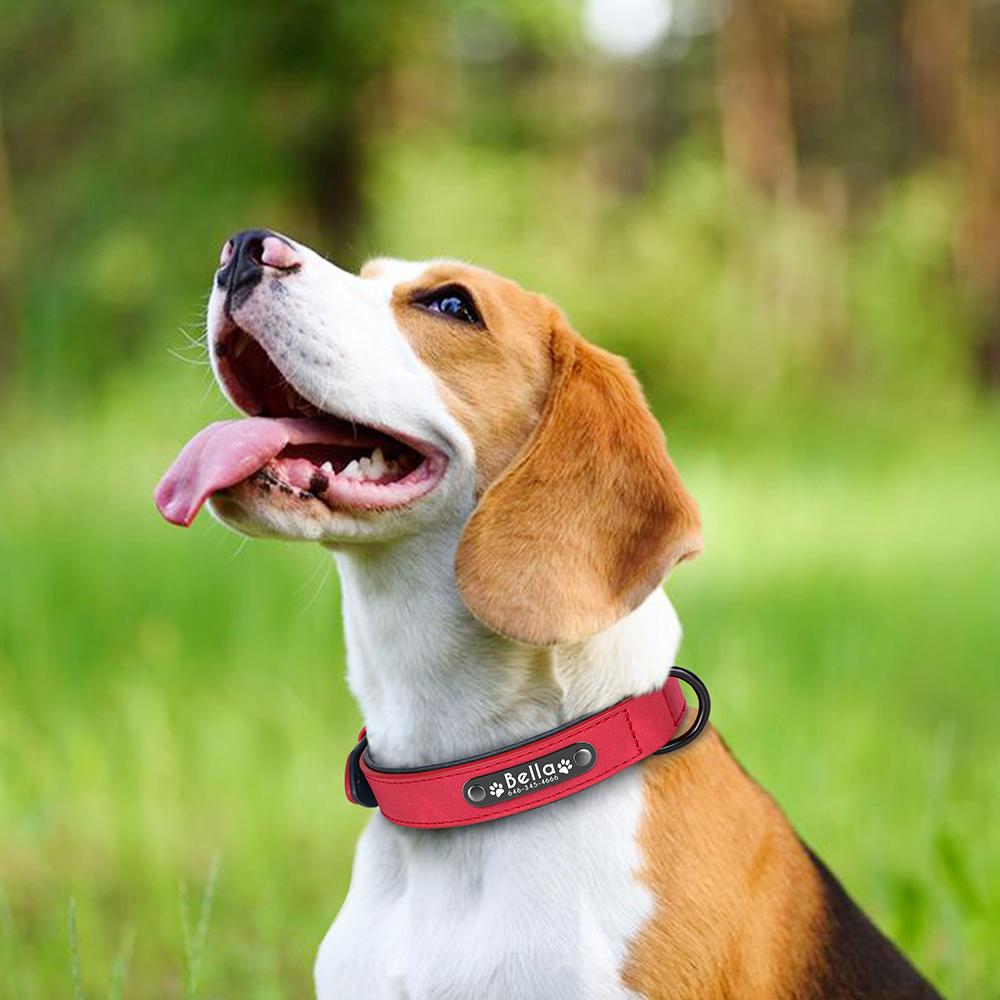 Personalized Name Paw Dog Collar PU Leather Dog Collars Soft Padded Pet Puppy Necklace Free Engraving for Small Large Dogs S-XL