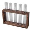 5 Test Tube Plant Terrarium Transparent Observe Growth Status Water Plant Holder with Wooden Stand for Herbs