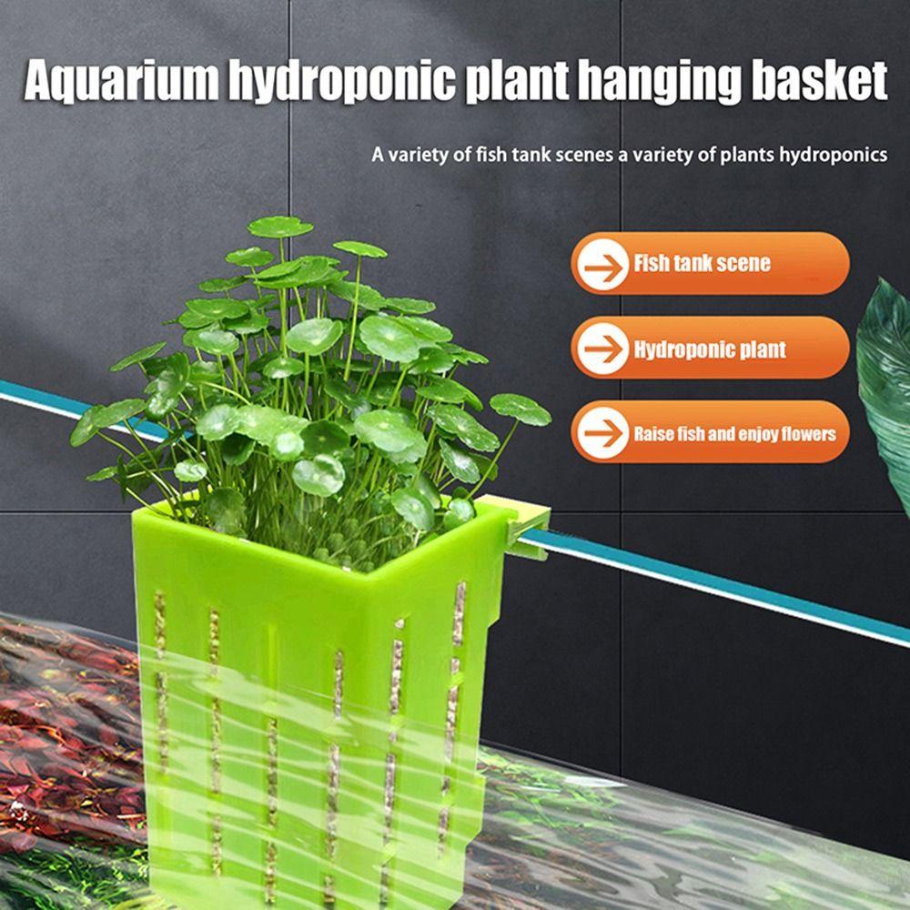 Glass Pot Fish Tank Hydroponic Planting Basket Planted Tank Aquarium Planter Cups  for Fish Tank