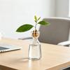 Yousheng Glass Hydroponic Vase, Clear Artistic Plant Propagation Container, Glass Avocado Vase Desktop Decoration Ideal Gift for Gardeners Home Office