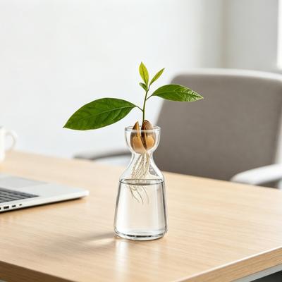 Deko & Wohnaccessoires – Vasen