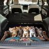 1 Stück Niedliche Katze Kofferraummatte Auto Anti-Rutsch Ladeflächenmatte Wasserdicht Heckstauraumschutz Bodenmatte SUV Limousine Dekor