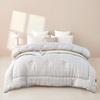 PAUI DAVID Four Seasons Antibacterial Duvet Insert