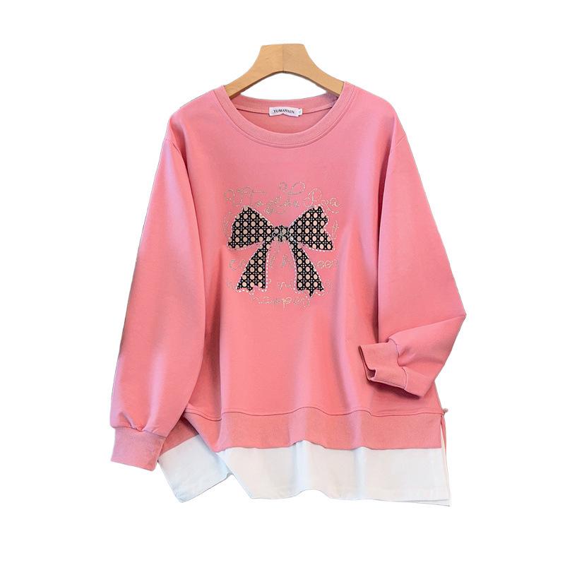 Plus Size Loose Autumn Hoodie, Bust Sizes 200/300 Jin (150/160-1107)