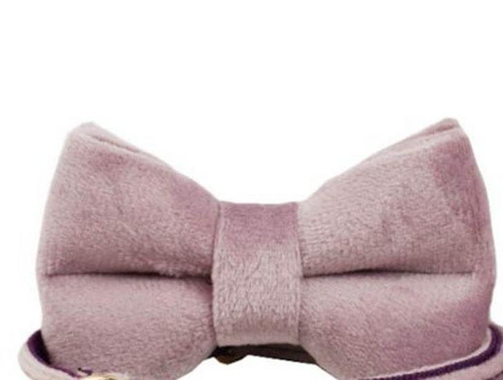 Deep Purple & Pink Velvet Cat Collar with Lavender Bow Tie & Bell Large