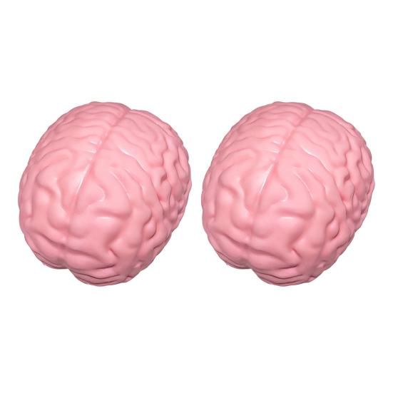 1/2 Stück Riesiges Simulations-Gehirn Knetspielzeug Stressabbau Rosa Gehirn Sensorisches Spielzeug Dekompression Langsam aufsteigend Realistisches Gehirn Fidget-Spielzeug