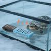 LCD Display Fish Tank Heating Rod 20-35°C Turtle Jar Heating Rod  for Turtle Fishes