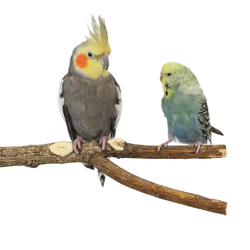 8 Stück Papageien Sitzstange Vogel Spielplatz Wellensittich Kletter Übungsleiter für Vögel Holz Kletterleiter Schaukel