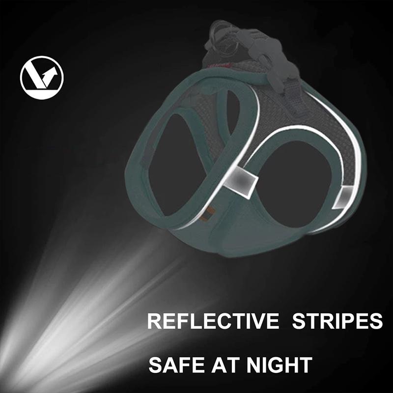 רתמת כלבים לכלבים קטנים חתולים רתמה ורצועה לחיית מחמד רפלקטיבית סט מתכוונן לנשימה חזה לחיות מחמד רצועה אביזרים לכלב