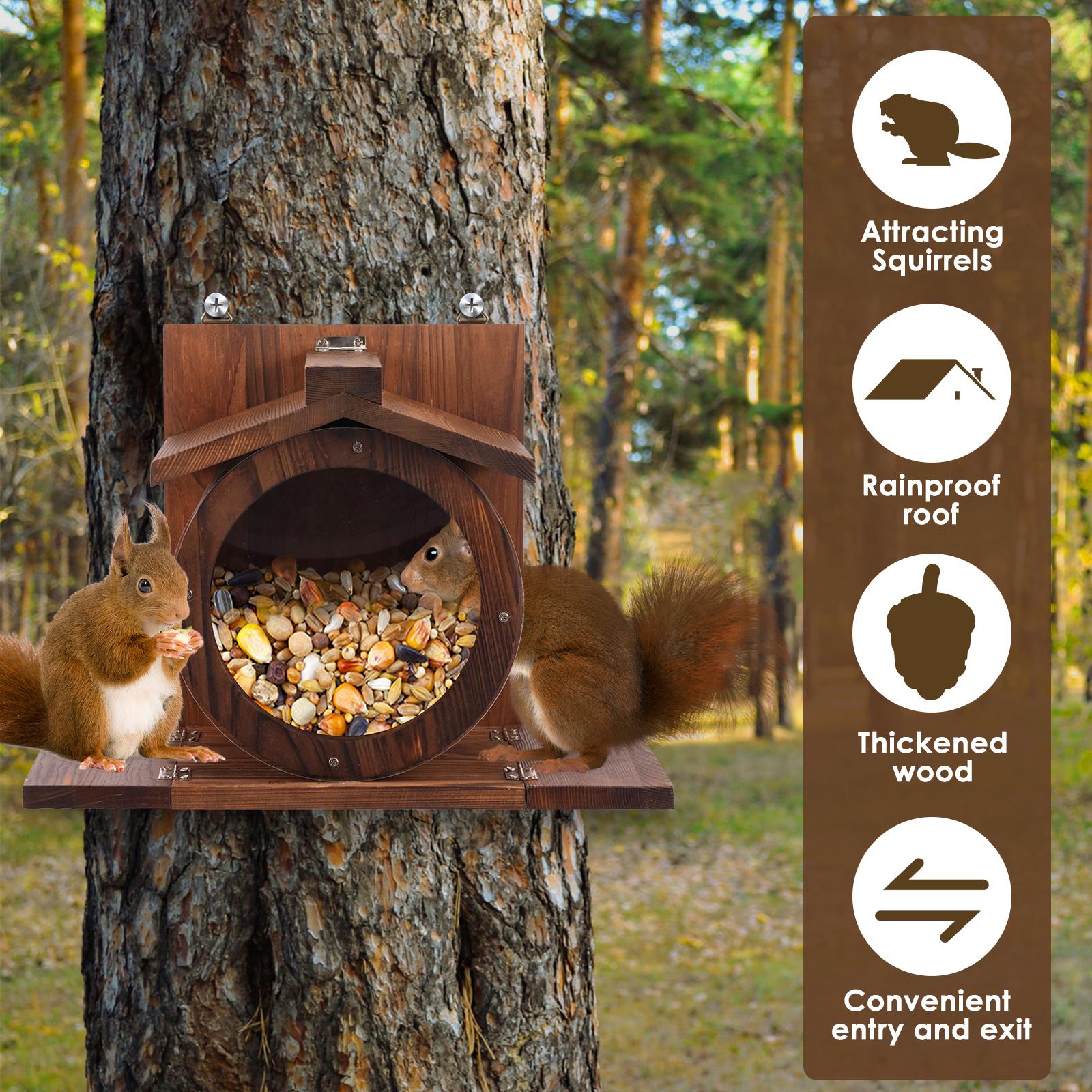 Wood Squirrel Feeder Wall Mounted Large Hole Chipmunk Feeding House with Transparent Window for Outdoor Yard Garden Decoration