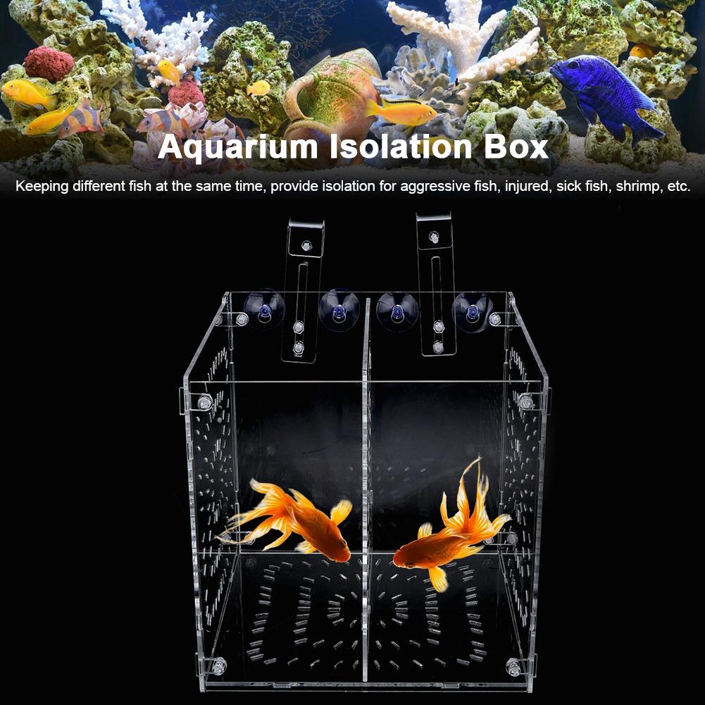 Isolamento Allevamento Piantine Incubazione Riproduzione per Acquario Acquario(20x20x20cm)