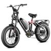 EAhora Luna Schwarz/Weiß 1000W Motorleistung 48V15AH Abnehmbarer Akku 20 * 4,0-Zoll Reifen Ximano 7-Gang Urban Road Elektrofahrrad