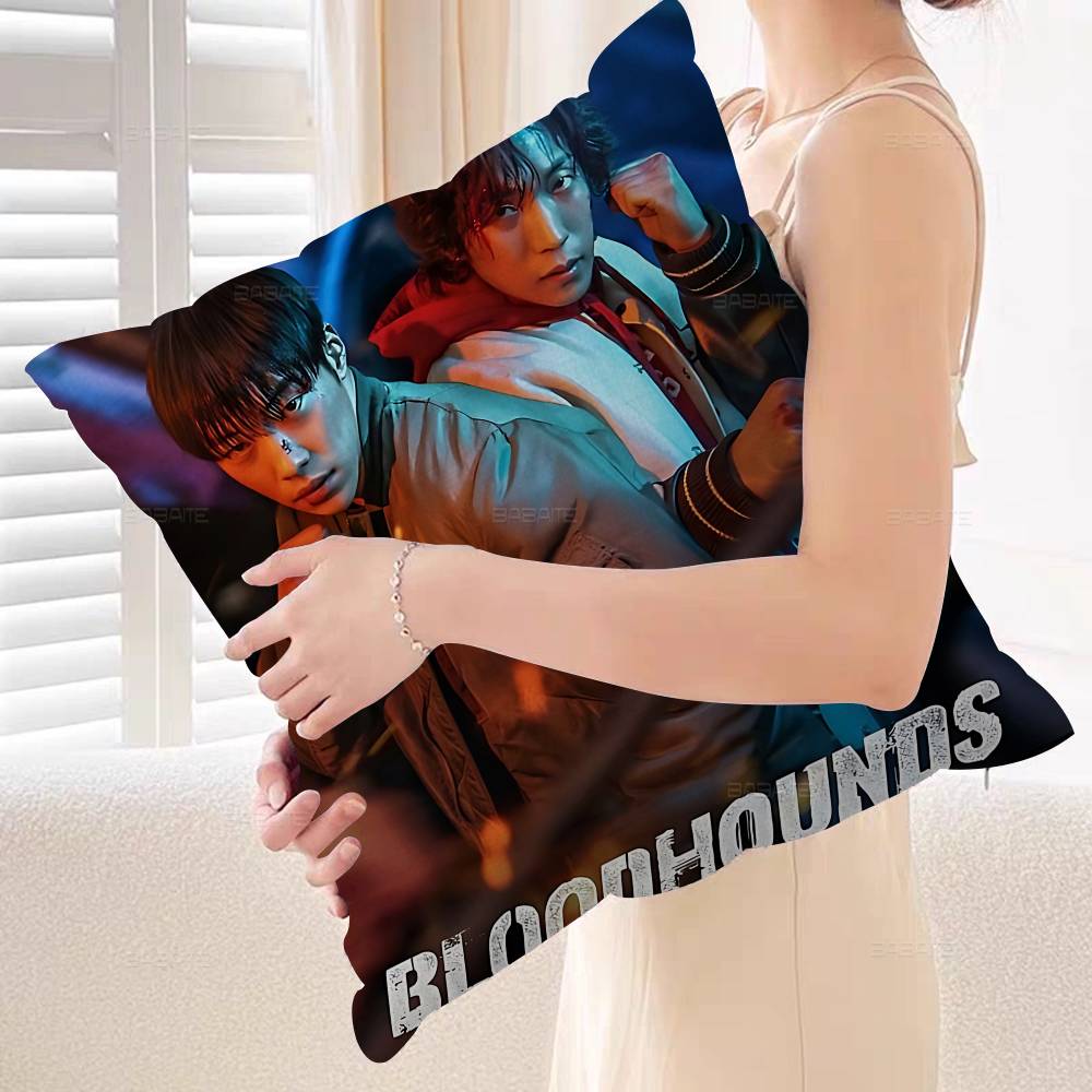 

Bloodhounds Movie Pillow Cover For Bedroom Room And Living Room Sofa Decorative Cushion Cover 30x30 cm