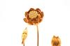 Matsuyama Shinto Buddhist Supplies Store Tokobana Set with Vase, Size 5, 7-Stem, Pair (Set of 2), Buddhist Flowers, Aluminum Flowers, Brass Vase, Gold