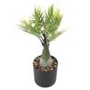 USB Powered LED Palm Tree Lamp Faux Plant Lighted Palm Tree Ornament  Party Decoration