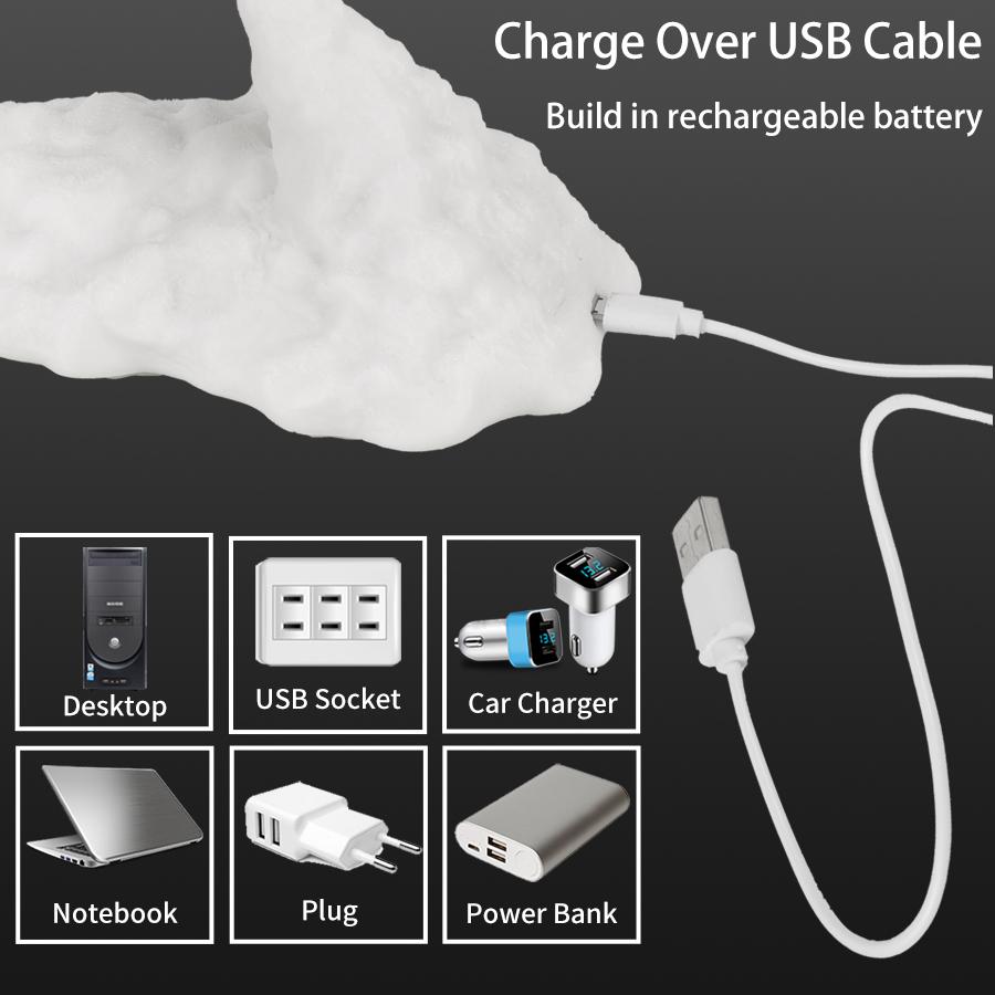 3D Room Decor Print LED Fire Dragon Ice Dragon Lamps Home Desktop Rechargeable Lamp Best Gift For Children Family Home Decor