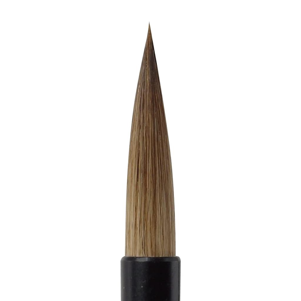 Made In Japan Shunkoen Calligraphy Brush Raising Arms Thick Brush Shokaku 3 No. SSF-1501DC