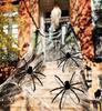 Hanging Bat, Paper, Black, Foldable, Halloween Decoration, 19x60cm