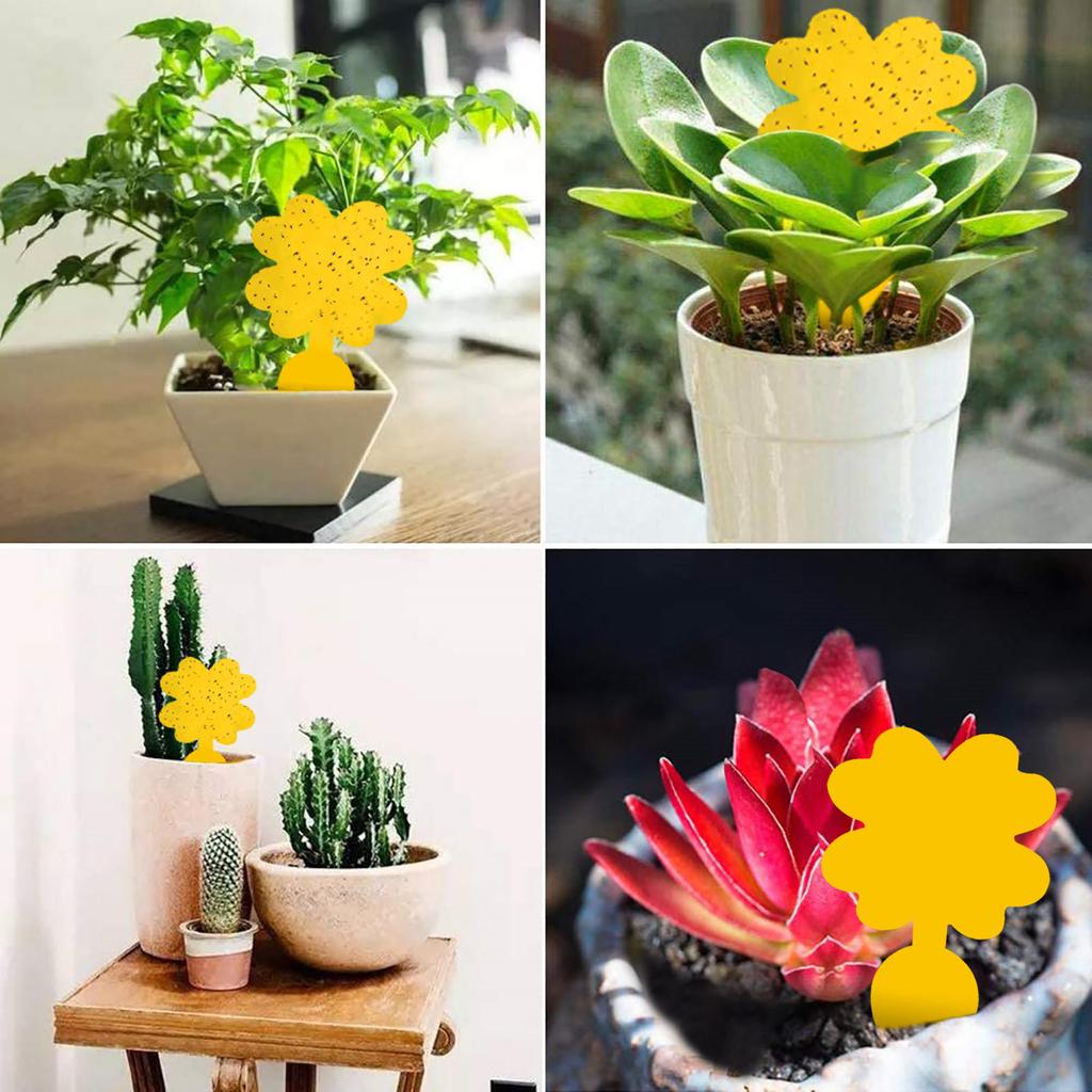 Flie Traps Sticky Board -Sided Sticky Traps Flying Plant Insect Catcher