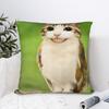 Funny Smiling Meowl Cat (2) Pillow Case Morden Pillow Cover Design Pillowcases For Sofa Bedroom Home Decor
