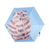 Folding Umbrella Suitable for Both Sunny and Rainy Days [Matsuo Miyuki] Cat,