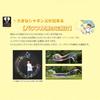 Tomoda Bubble Powerful Soap Bubble Liquid 250ml 2-Pack Outdoor Play Made in Japan