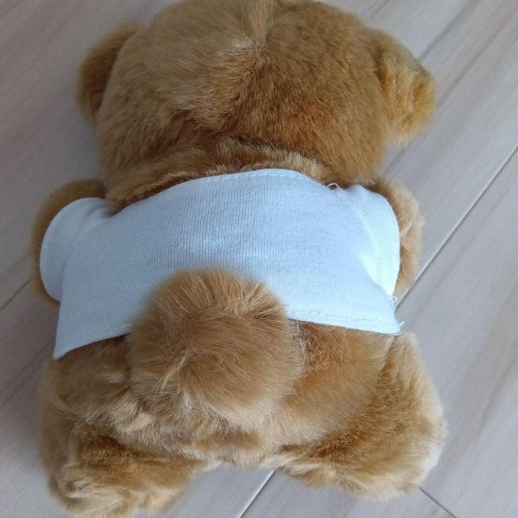 [USED] Hard Rock Cafe Singapore Teddy Bear